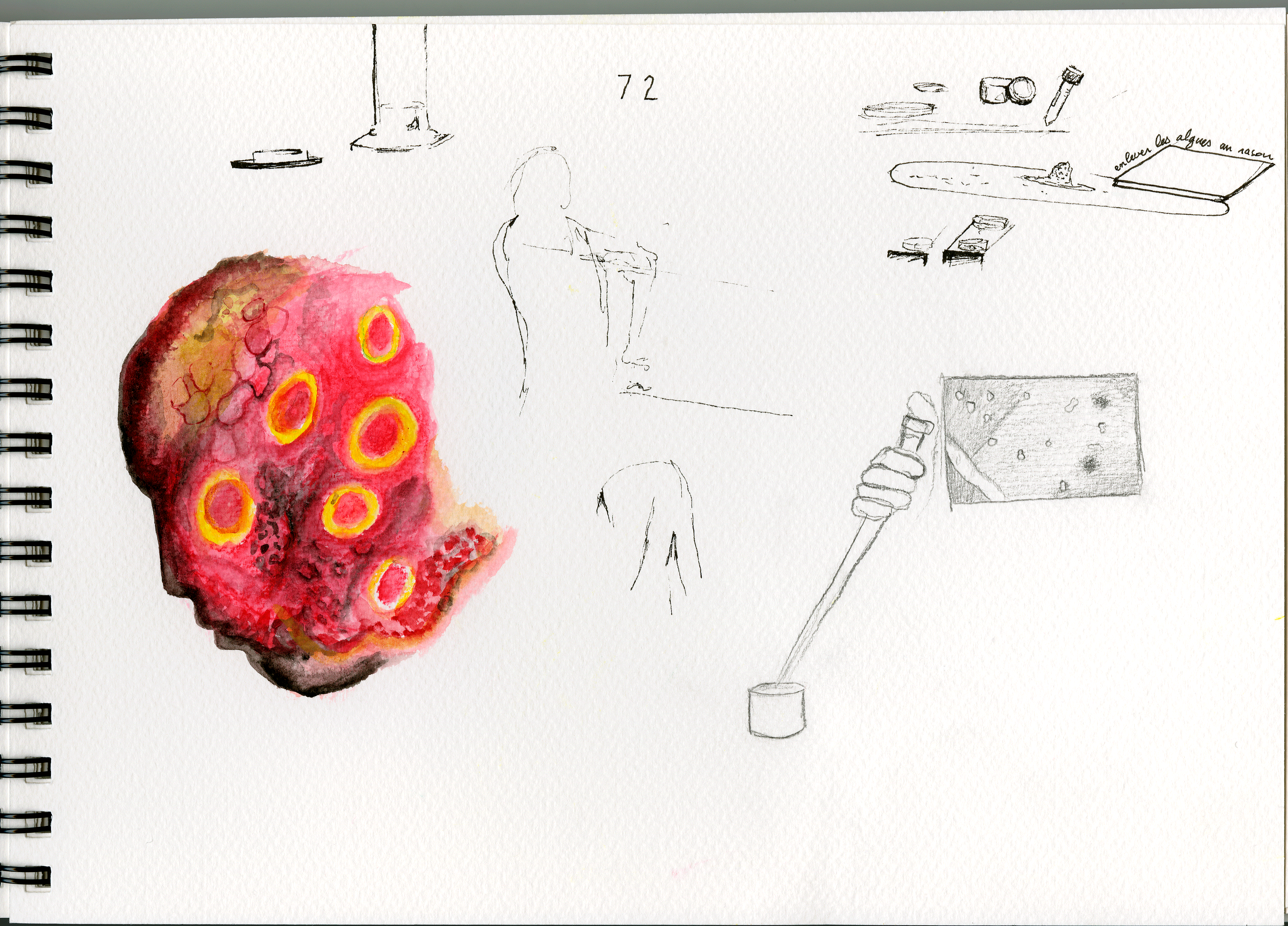 ethiquescientifique